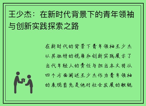 王少杰：在新时代背景下的青年领袖与创新实践探索之路